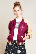 Load image into Gallery viewer, j-bbj-v8