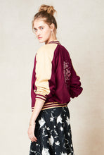 Load image into Gallery viewer, j-bbj-v8