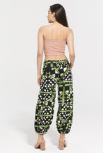 Load image into Gallery viewer, p-ngp-v1