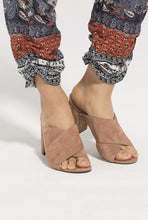 Load image into Gallery viewer, p-rp-v1